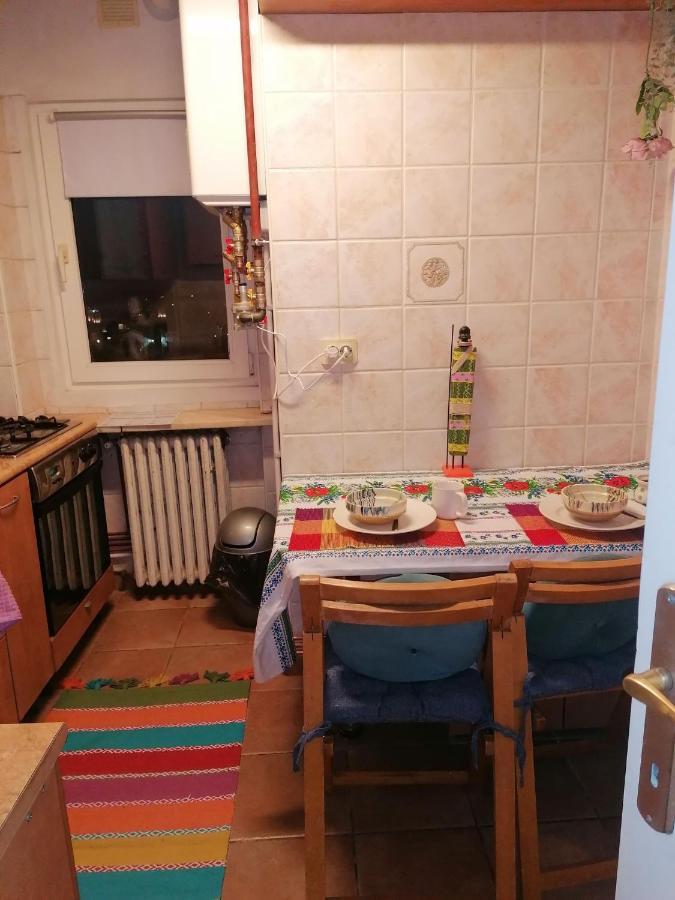 River View, In City Center Apartment Bucharest Luaran gambar
