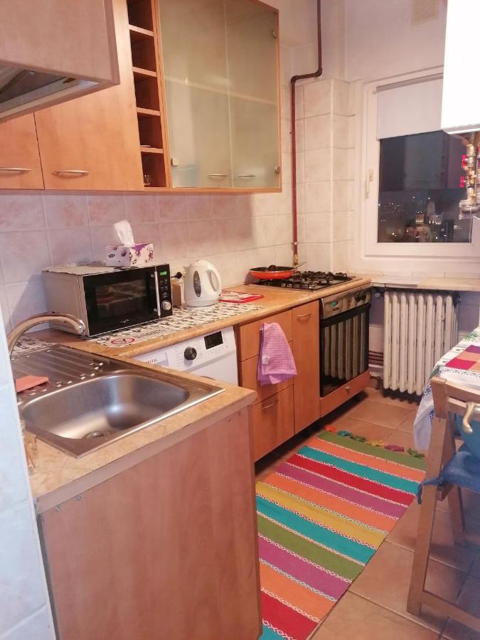 River View, In City Center Apartment Bucharest Luaran gambar